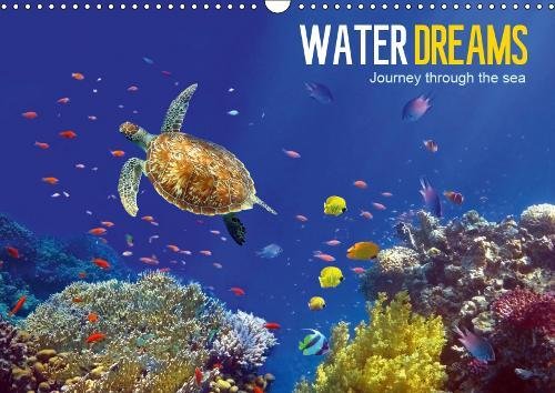 Water Dreams-journey through the sea 2019: Water Dreams. Dive into the wonderful underwater world