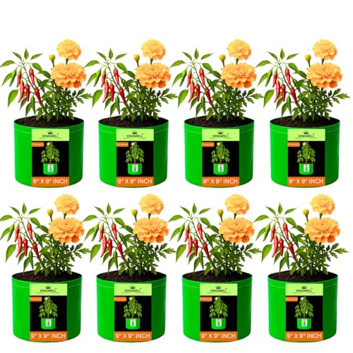 Image of Kingwell grow bags 9x9 inches pack of 8 Grow Bag For Terrace Garden Leafy Vegetable Plant Grow Bags Fruits Growing Containers For terrace Gardening