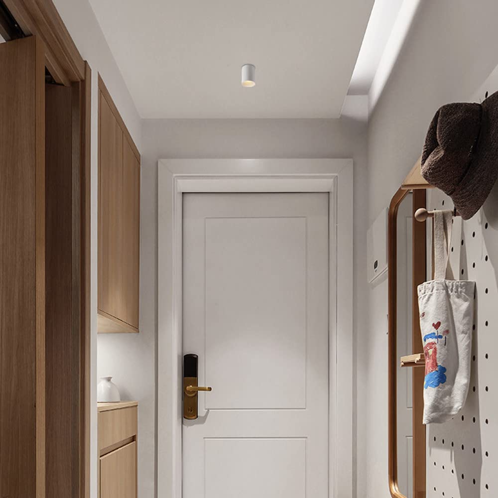 Spot De Plafond Moderne en Saillie, Lampe Cylindrique, Spot Directionnel 10 W, en Aluminium, pour Couloir, Cuisine, Salon, Galerie/6000（3000K-12W）