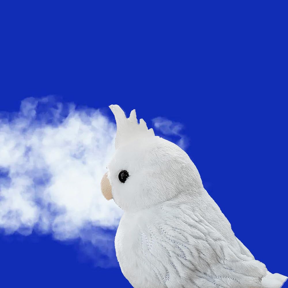 Amazon.co.jp: ZHONGXIN MADE【ふわふわ抱き心地】オカメインコ