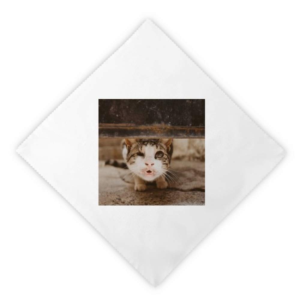 Serviettes en tissu chat drôle pour dîner coloré et pique-nique en famille