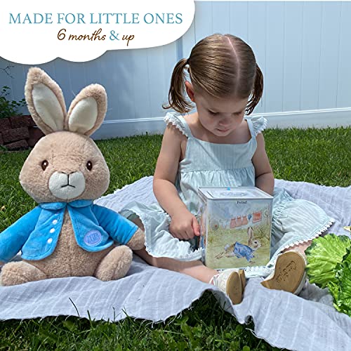 Image of Beatrix Potter Peter Rabbit Jack-in-The-Box, Multi-colored, Standard