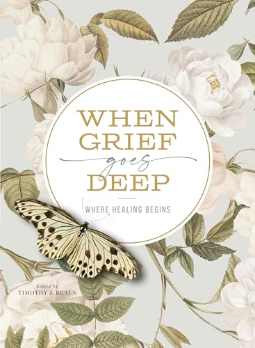 Image of When Grief Goes Deep: Where Healing Begins