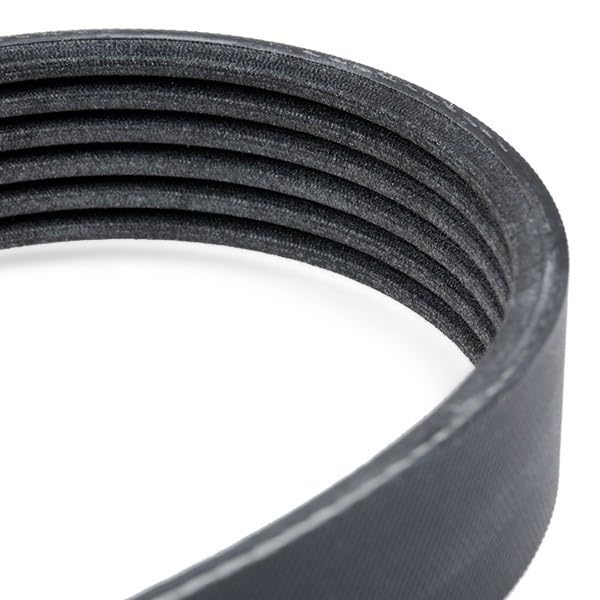 CONTINENTAL CTAM CN, MITSUBOSHI, GOODYEAR 6PK2310 Correa Trapecial Poli V