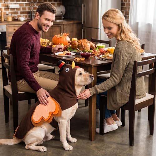 Disfraz de Pavo para Perro 4XL miniatura 5