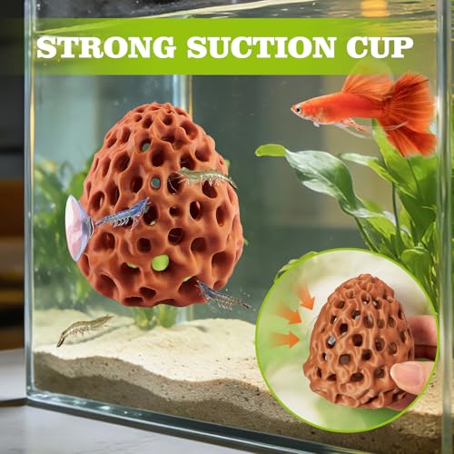 Image of Shrimp Dome Hide, Shrimp Hides for Aquarium, Betta Fish Hideout with Suction Cup, Betta Habitat Tank Ornament Accessories, Aquarium Decor for Small Fish Guppy Hiding Resting (Brown)