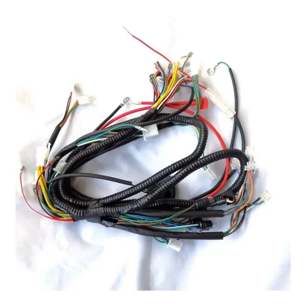 Assemblée de câblage de faisceau de câbles de cyclomoteur du scooter 150CC compatible avec la magnéto de 11 pôles 8 pôles(8 POLE)