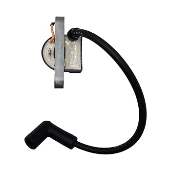 Amazon.com: Rebuiman 24 584 36-S Ignition Coil Fit For
