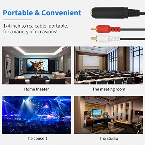 Poyiccot Rca To 1/4 Adapter Cable, 6.35Mm 1/4 Inch Trs Stereo Jack Female To 2 Rca Male Plug Y Splitter Adapter Cable 25Cm/10Inch (635F-2Rcam) #TOP4