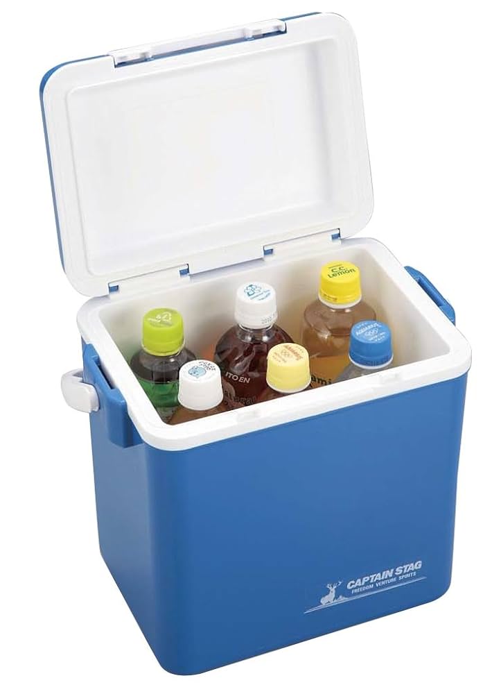 クール　1パック クールカーゴバッグ（L） ソフトクーラーボックス 保冷