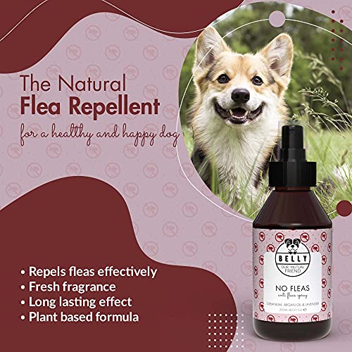 Belly Flohmittel für Hunde - 250ml - Floh- und Zeckenschutz ohne Flecken oder Rückstände, Flohspray wehrt Flöhe, Zecken und Mücken ab, vegan