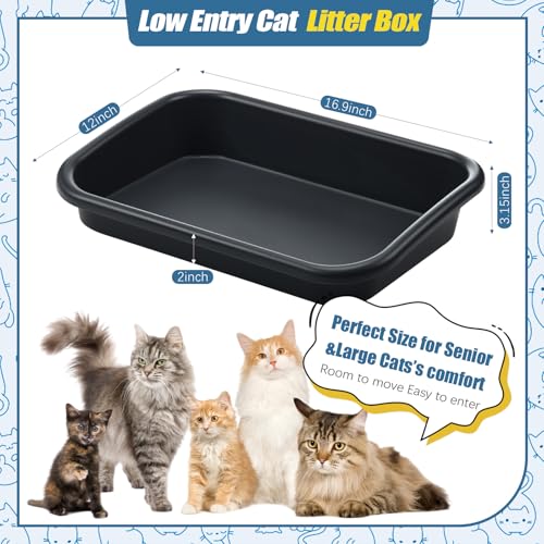 Caja de arena baja para gatos senior Uiifan 16.9x12x3.15 pulg miniatura 2