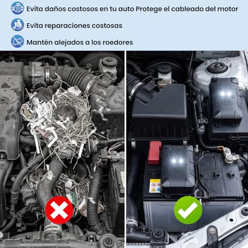 Opiniones y reviews de Veneno para ratas que puedes comprar esta semana. 6 Imagen adicional