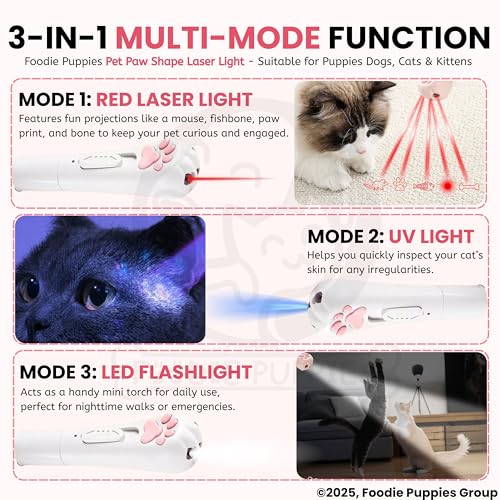 Image of Foodie Puppies Paw Shape USB Laser Pointer Cat Teasing Toy with 5 Adjustable Patterns I Pet Chaser Tease Laser Light with Keyring for Cats, Kitten, Puppies & Dogs I Fun Exercise & Training Toy
