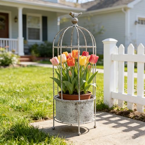 Queltharion Rustic Vintage Birdcage Planter on Stand Farmhouse Distressed Decorative Metal Round Plants Holder Flower Pot with Latch Lock Closure for Garden Patio Yard Home Outdoor Balconies Decor