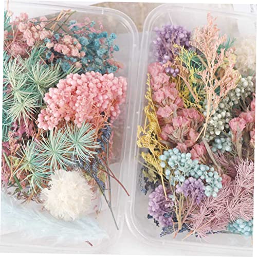 Zerodeko 2 Caixas Flores secas de aromaterapia flores secas prensadas fabricação de sabão de flores