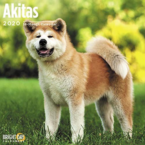 Télécharger Akitas Wall Calendar 2020 livre En ligne