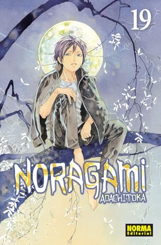 NORAGAMI 19 (SIN COLECCION)