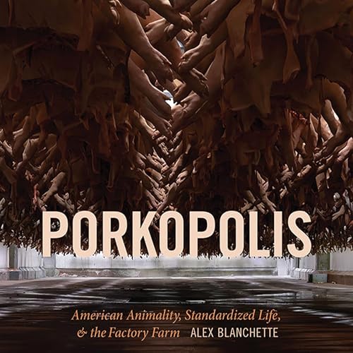 Porkopolis - Alex Blanchette episode artwork