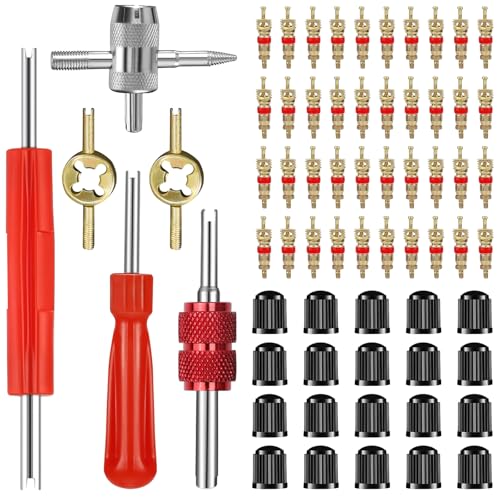 HOWAB Kit de Herramientas de Extraccion para Obus de Valvula: 66PCS Herramientas de Reparación de Válvulas con 40 Núcleos de Válvula, 20 Tapones, 3 Extractor de Válvulas, para Bicicleta Coche Moto