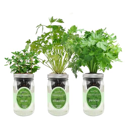 Environet Hydroponic Herb Growing Kit Set, Self-Watering Mason Jar Herb Garden Starter Kit Indoor, Windowsill Herbs Garden, Grow Your Own Herbs from Organic Seeds (Mint, Cilantro and Parsley)
