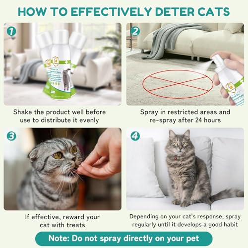 Katzenabwehrspray für Katzen, Verbesserte Fernhaltespray Katzen für Innen und Außen, Anti Katzen Spray, natürlichen Wirkstoffen, Schützen von Möbeln, Böden, Sofas, Teppichen-150ml, Grün