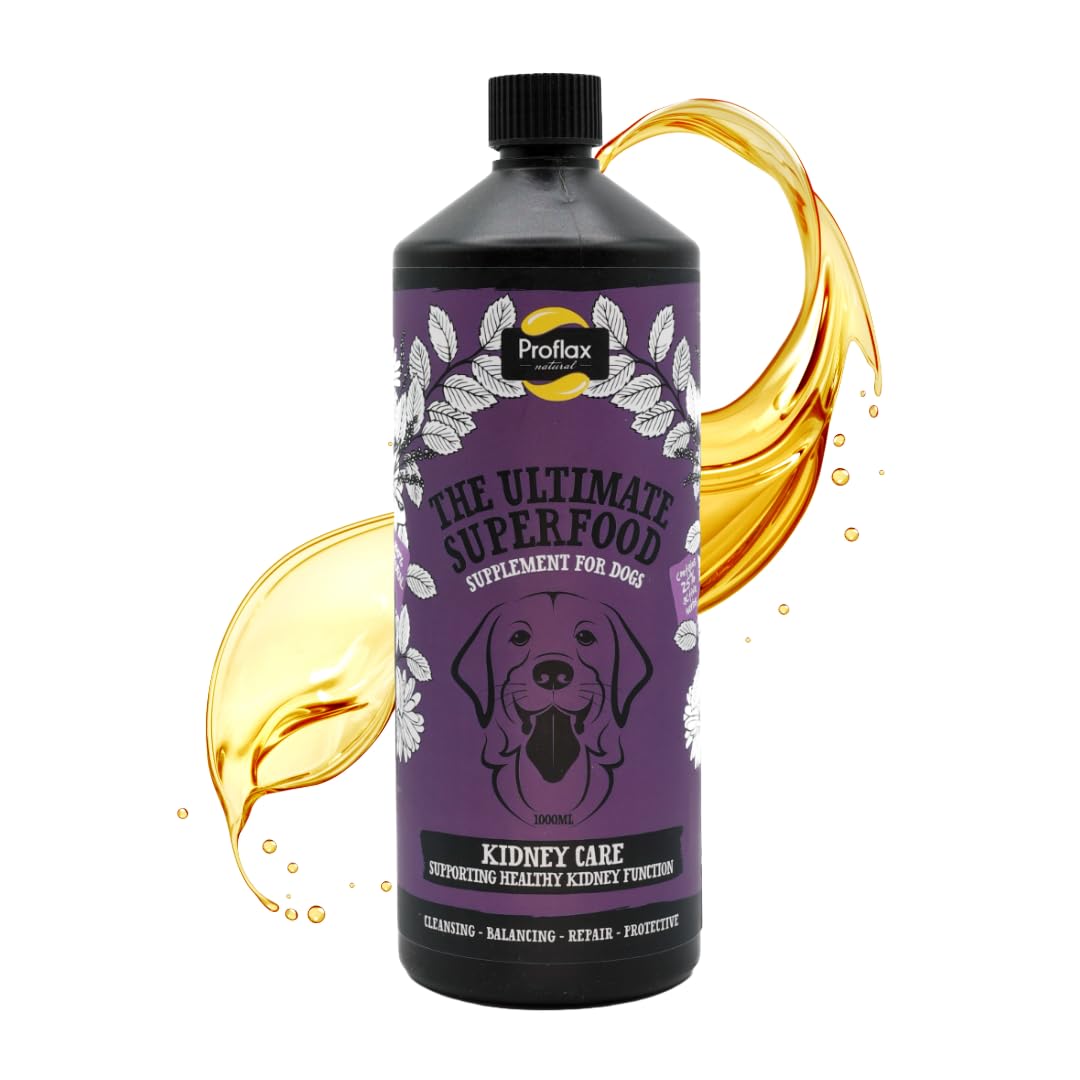 Proflax Kidney Care Renal & Urinary Support for Dogs – Hydration, Detox & Kidney Function - 1000ml