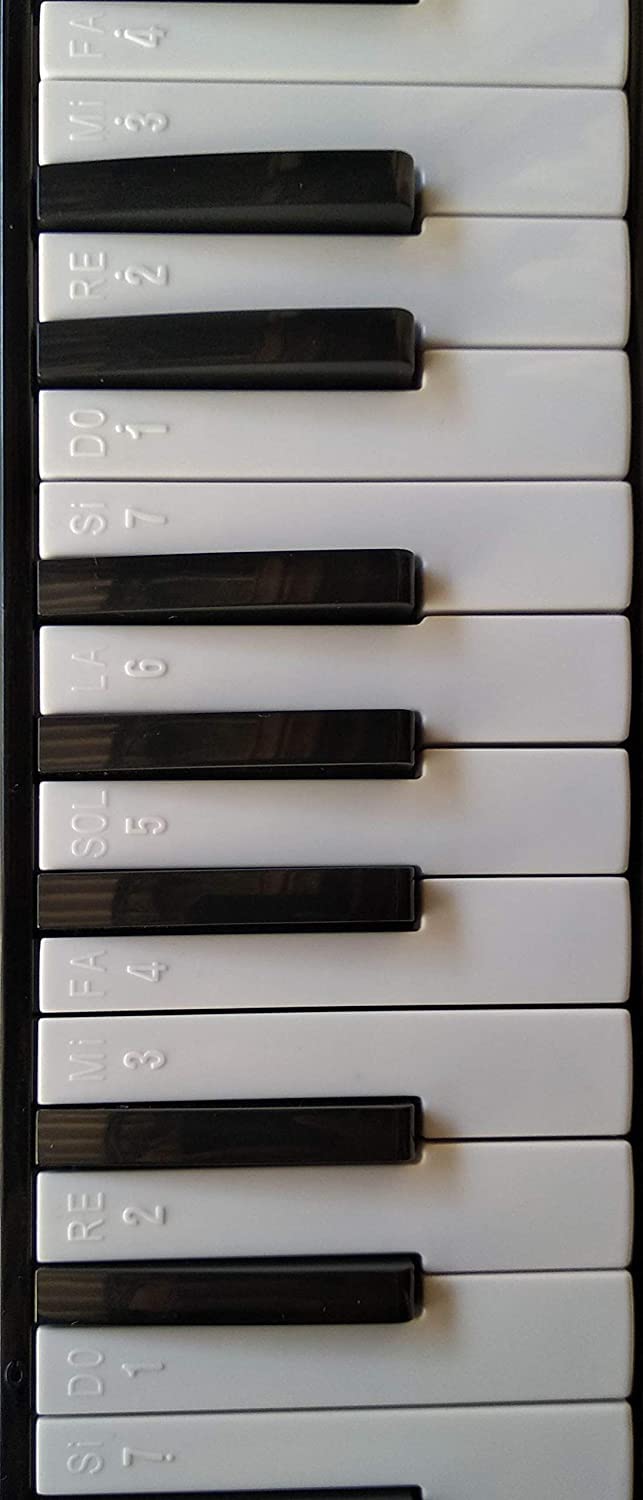 TechnoBuyers Generic 32 Key Melodica with Nylon Case Musical Instrument Blue - Image 5 thumbnail