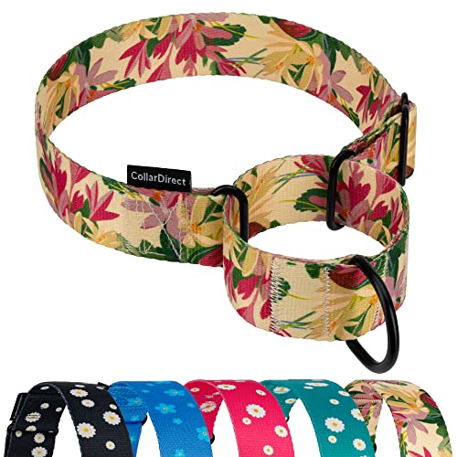 CollarDirect Martingale Dog Collar Heavy Duty Nylon Slip Collars for Small Medium Large Dogs [Nylon, Patterned, Toffee, L, 15"-20"] by CollarDirect - Used condition - US$7.53