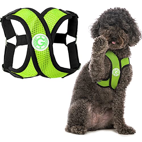 Gooby - Comfort X Step-in Harness, Choke Free...