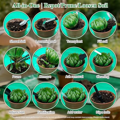 Set 30 Piezas de Herramientas para Jardinería de Suculentas miniatura 6