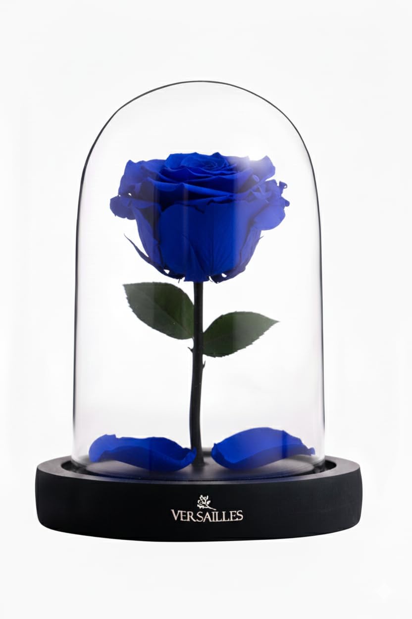 Versailles Preserved Blue Rose in Glass Dome | Preserved Rose on Black Wooden Base | Eternal Rose | Real Flowers | Luxury Home Decor | Gift for Women-image-38