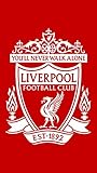 Liverpool Logo ArtPrint
