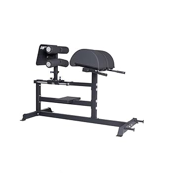 トレーニング機器 グルートハムディベロッパー ユーズド 後ろ