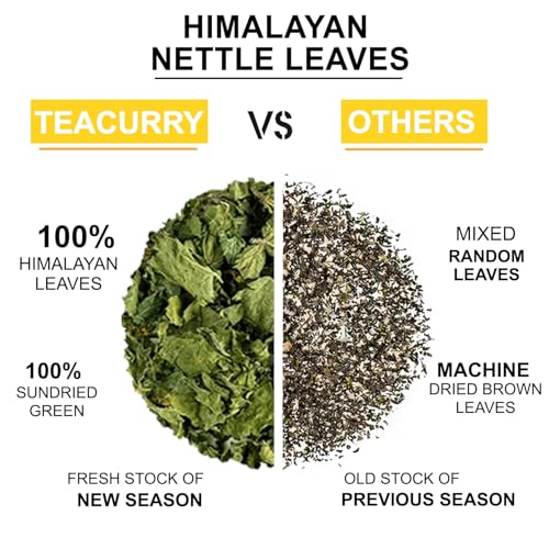 Image of Teacurry Himalayan Nettle Leaf Tea (30 Bags) - Supports Kidney Wellness, Pressure Balance, Digestion & Weight Management | Pure Herbal Tea