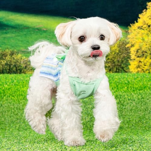 Camiseta sin Mangas para Perros de Tejido Transpirable Menta 4