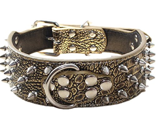 Haoyueer - Collare per cani in pelle con rivetti borchiati, larghezza 5 cm, elegante collare in pelle per cani di taglia media e grande: Pitbull, ecc. (L, marrone dorato)