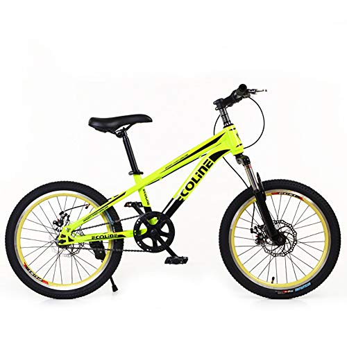 KKLTDI Bicicleta Adulta,20 Pulgadas Niños Bicicleta De Montaña,Mujer Cruz Country Boy Bicicleta De Senderismo E 24 Pulgadas