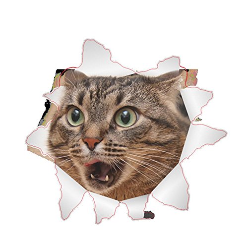 Preisvergleich Produktbild JYSPORT 3D Katzen-Aufkleber Vinyl-Graffiti-Laptop-Gepäck-Fahrrad... Toiletten Wandtattoo-Kühlraum-Dekor (14200)