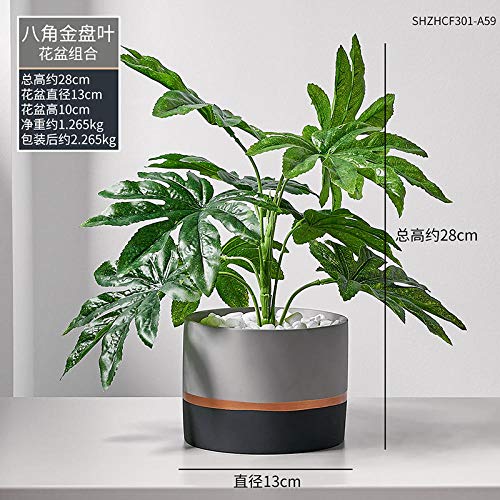 afbaby Planta de Flores Artificiales Planta Verde Adornos en macetas Piso Maceta decoración Creativa Tortuga nórdica Espalda Hoja Carne IKEA Bonsai