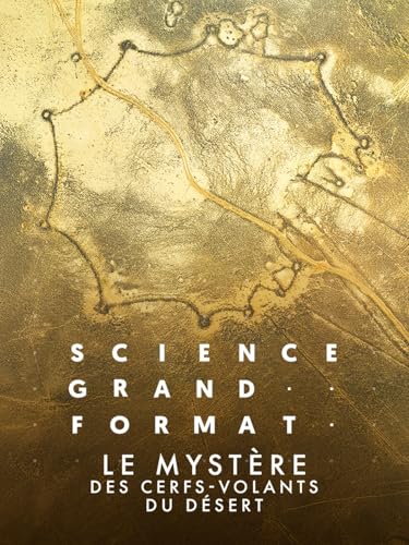 Le mystère des cerfs-volants du désert