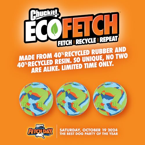 Chuckit! Limited Edition Hundeball Eco Fetch Day Ball Ultra Ball Umweltfreundliches Spielzeug für Hunde – Medium, 1 Packung