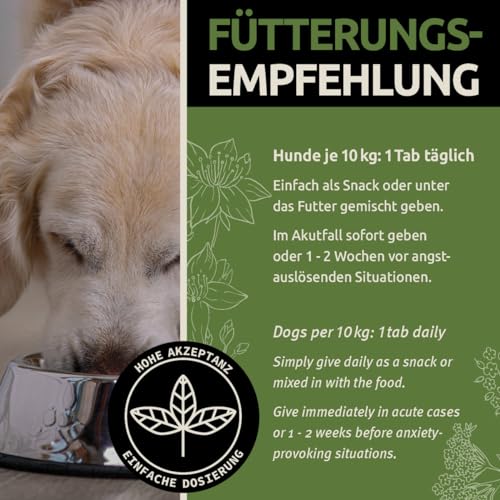 GreenPet Relax Me 120 Tabs – Beruhigungsmittel für Hunde als Snacks mit Baldrian & Johanniskraut, bei Angst, Stress, Autofahrt & Reise – Zur natürlichen Beruhigung & Entspannung