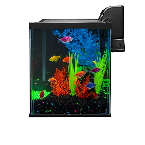Image of Glofish 10 Gallon Aquarium Fish Tank Kits, Includes LED Lighting and Decor (Amazon Exclusive)