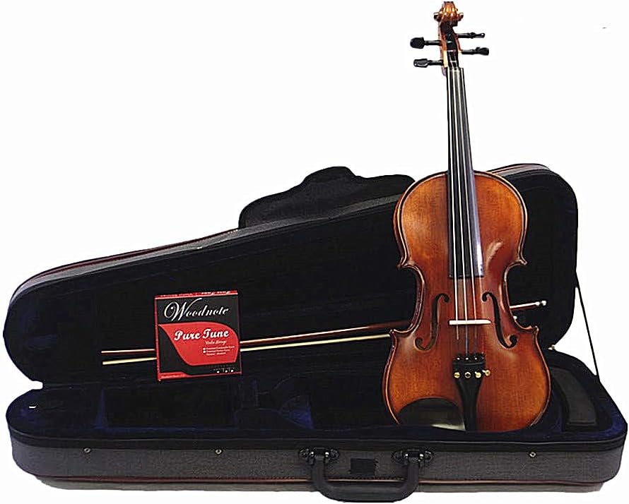 Good 4/4 Solid Wood Antique Model Violin Outfit/Ebony Fitting/Octagonal Bow/Shoulder Rest/Extra String Set