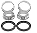 Rear Wheel Bearing Kit - Both Wheels