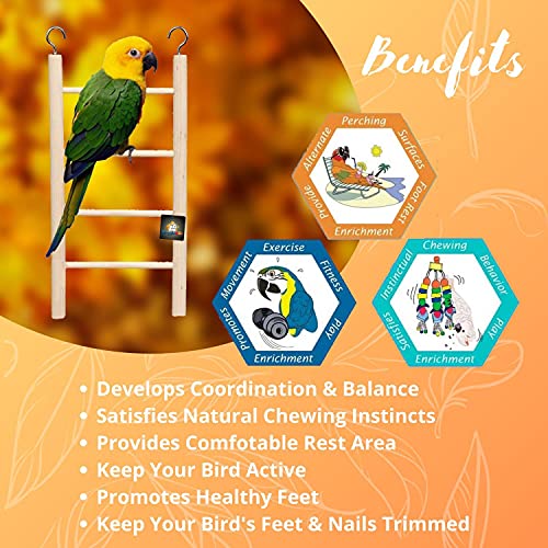 Image of Natural Wooden Ladder Bird Toy | Climbing, Exercise & Fun | for Small & Medium Birds (4 Step)