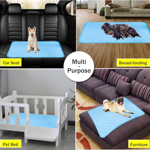 Image of BAMY 2 Pcs Washable Dog Pee Pads Absorbs Urine Pet Training Pads Non-Slip Waterproof Doggie Whelping Pad Reusable Dogs Mat Solid Brown Gray Blue Pink (Blue, L (40x28 inch))