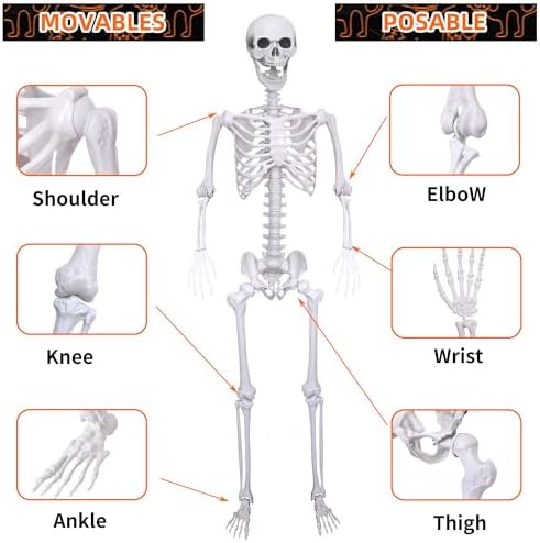 51ZukHVcPPL._AC_ Life-Size Skeletons 59 Inch 2 Pieces Moving Skeleton Full Body Size Realistic Human Bones with Movable Joints for Indoor Outdoor Halloween Decoration (2, White)