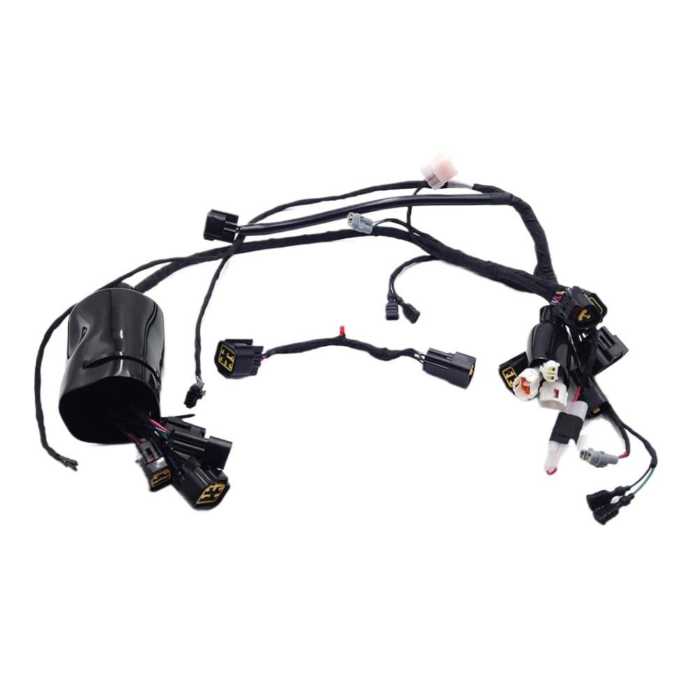 Arnés de Cableado Principal Compatible Con X S Off-Road Pit Bike